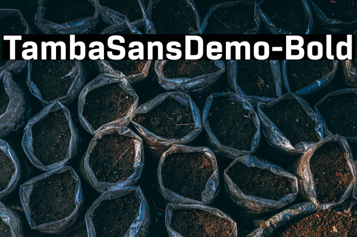 TambaSansDemo-Bold Example 1
