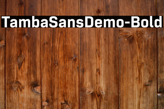 TambaSansDemo-Bold Example 2