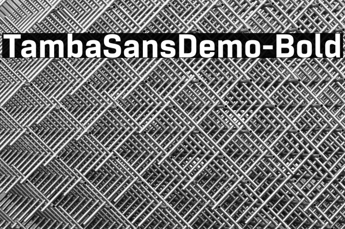 TambaSansDemo-Bold Example 3