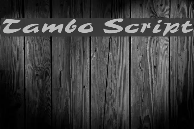 Tambo Script Font examples