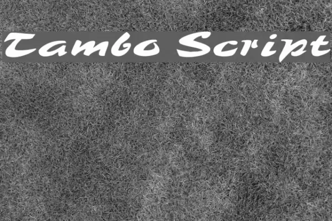 Tambo Script Font examples