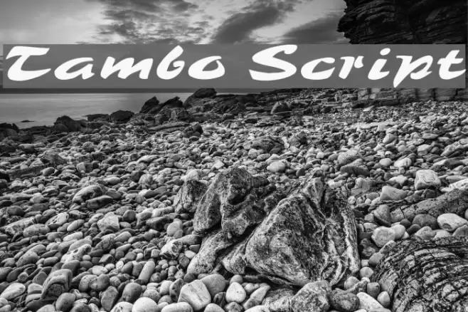 Tambo Script Font examples