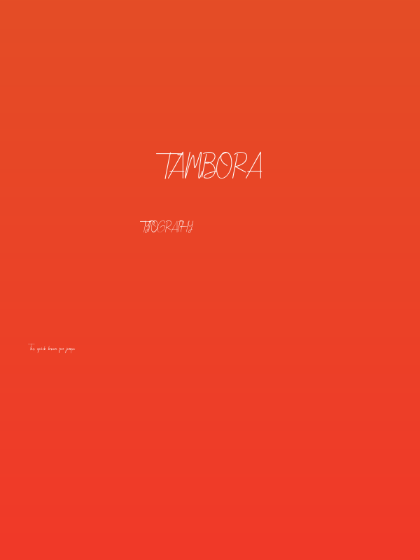Tambora Poster