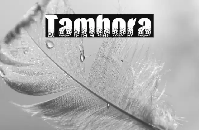 Tambora Font examples