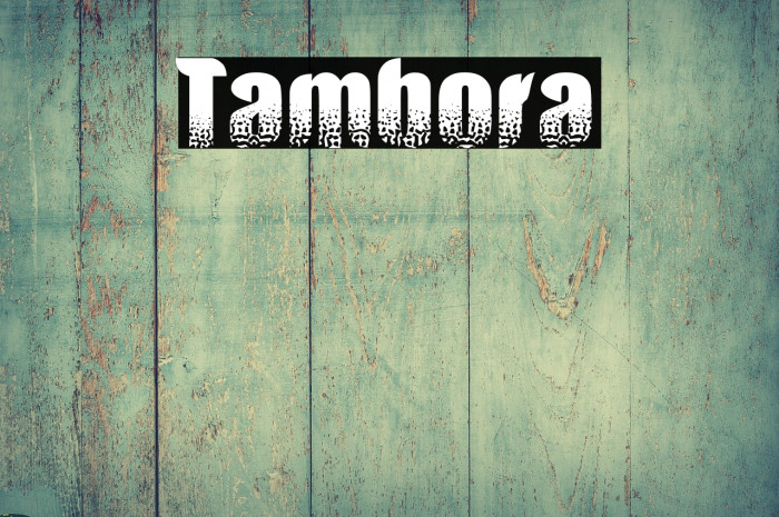 Tambora Example 2