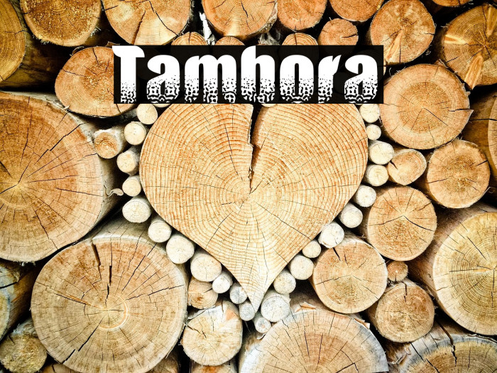 Tambora Example 3