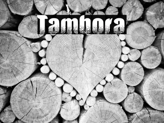 Tambora Font examples
