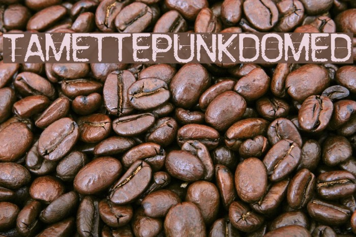 TamettePunkdomed Font examples