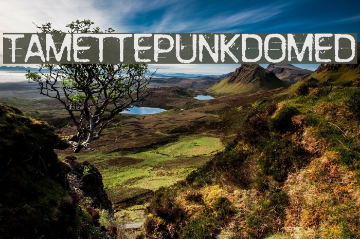 TamettePunkdomed Font examples