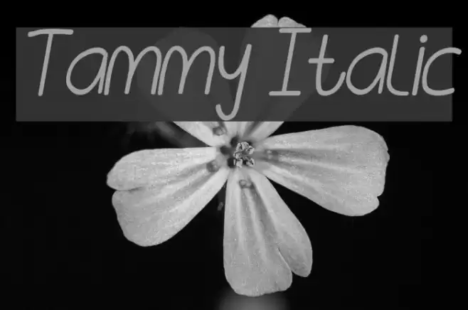 Tammy Italic examples