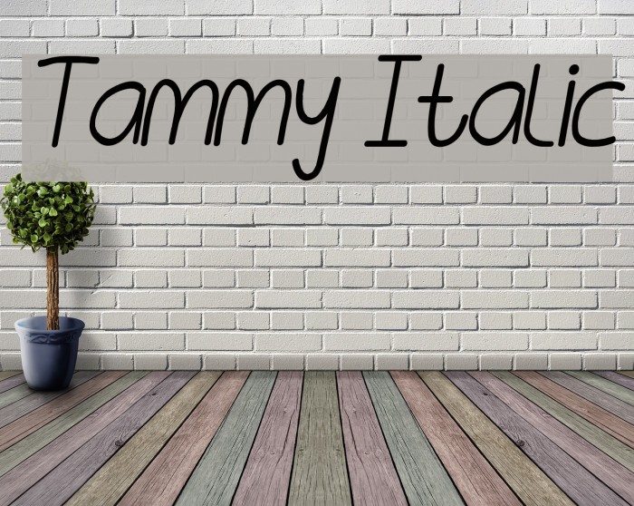 Tammy Italic Font examples
