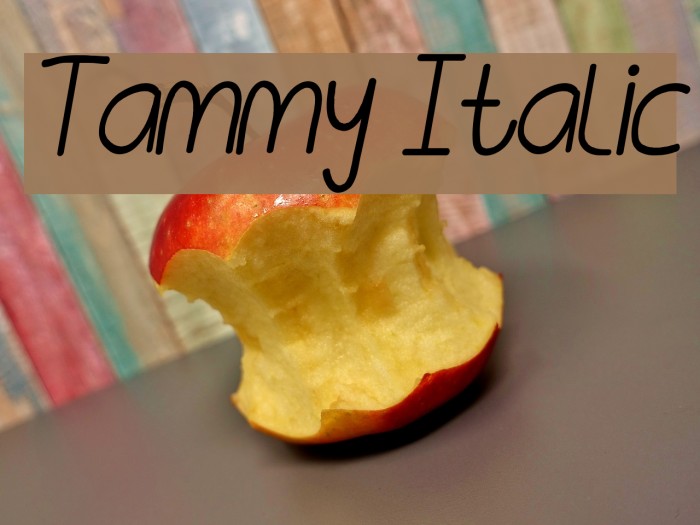 Tammy Italic Font examples