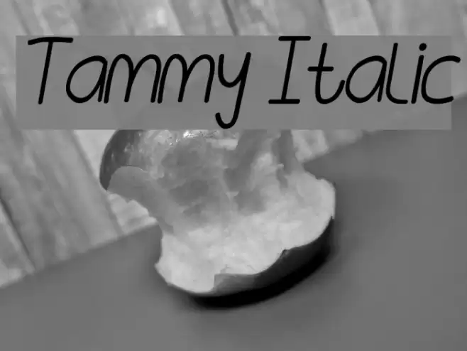 Tammy Italic examples
