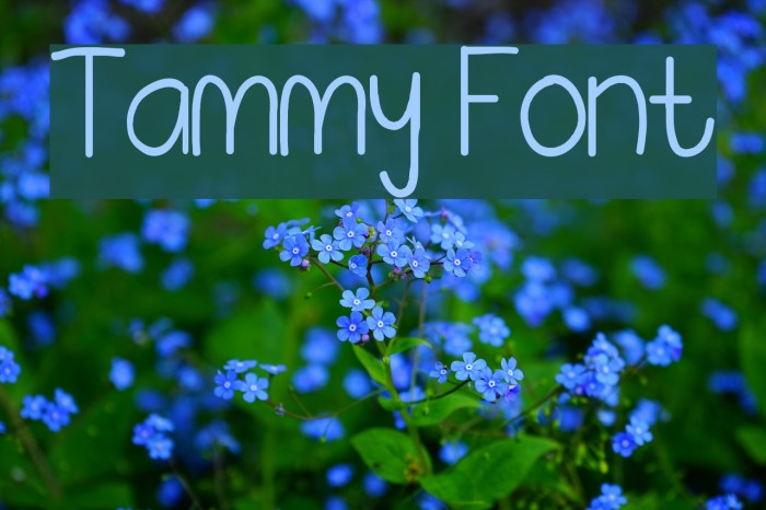 Tammy Font examples