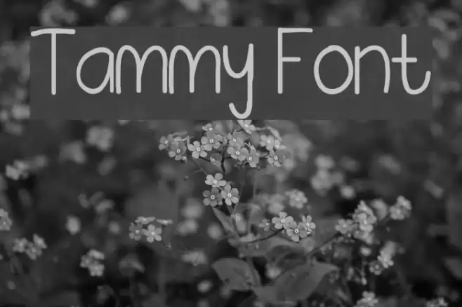 Tammy Font examples