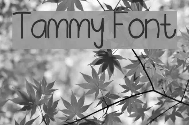 Tammy Font examples