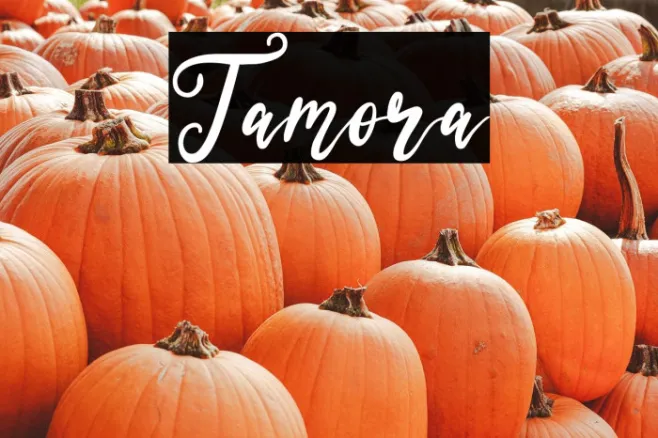 Tamora Example 1