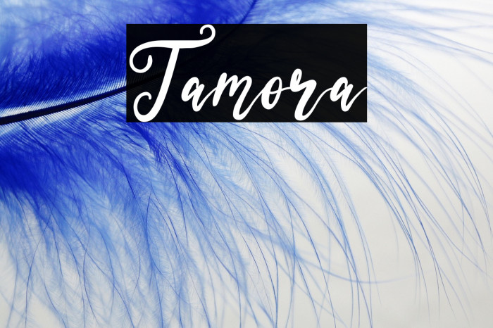 Tamora Example 2