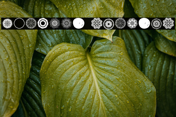 Tampico Symbols Example 1