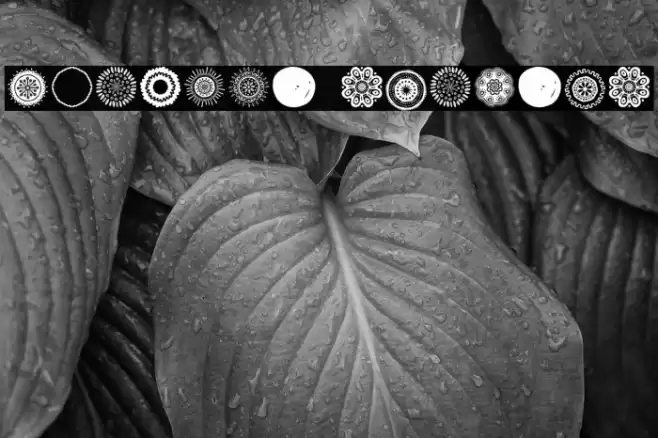 Tampico Symbols Fuentes examples