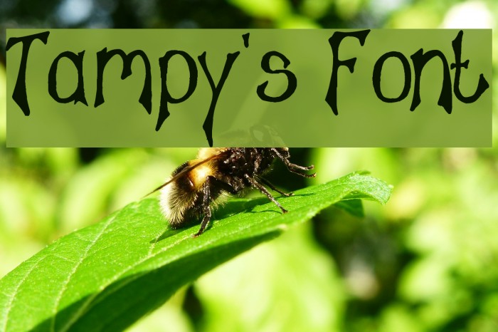 Tampy's Font Font examples