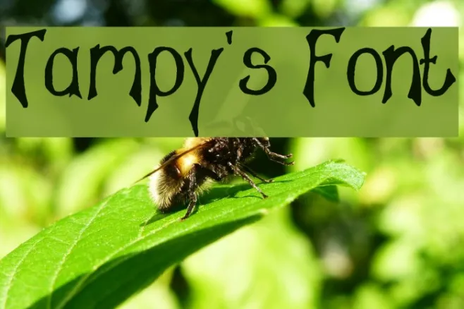 Tampy's Font Example 3