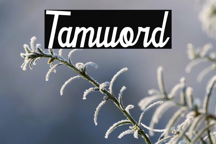 Tamword Example 2