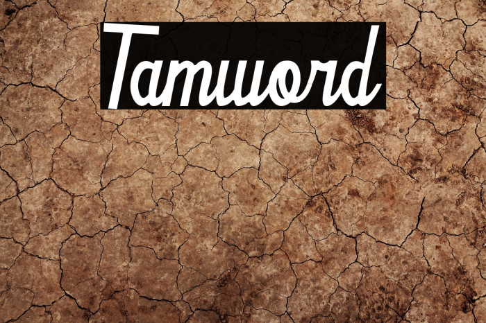 Tamword Example 3