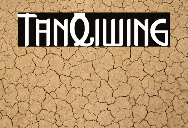 TanQiwing Example 1