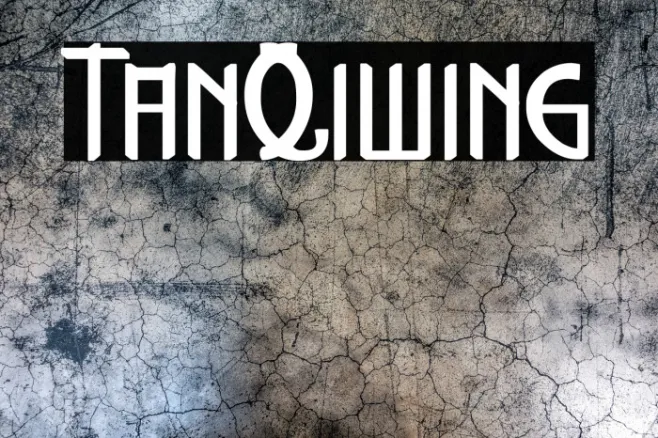 TanQiwing Example 2
