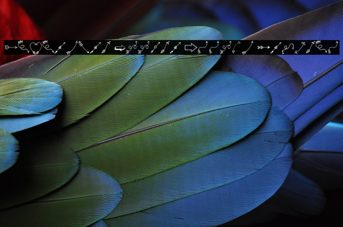 Tanaestel Doodle Arrows Regular Example 1