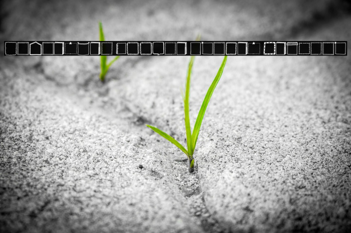 Tanaestel Doodle Frames Regular Example 1