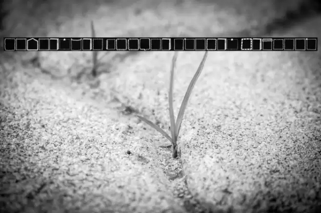 Tanaestel Doodle Frames Regular Font examples