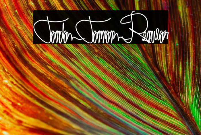 Tanda Tangan Regular Example 1