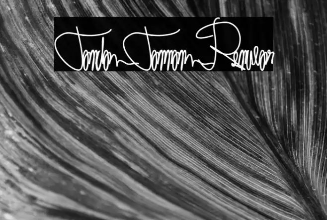 Tanda Tangan Regular Font examples