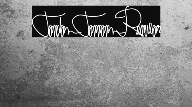 Tanda Tangan Regular Font examples