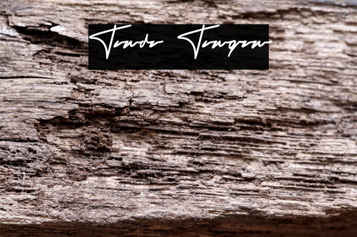 Tanda Tangan Example 2