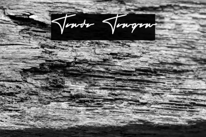 Tanda Tangan Font examples