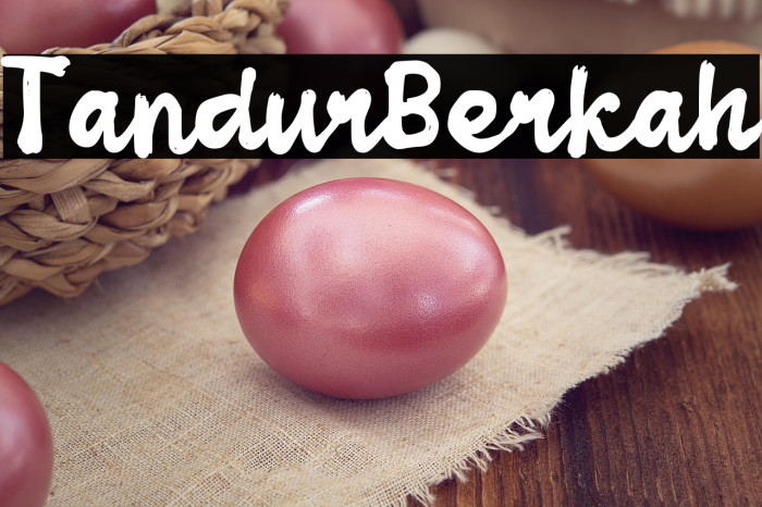 Tandur Berkah Example 1