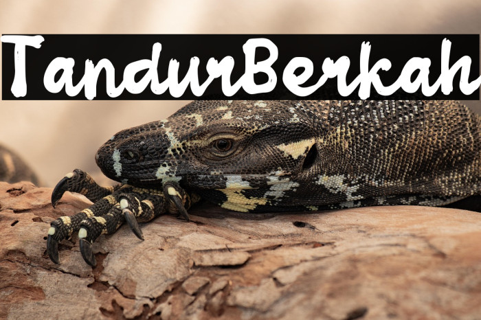 Tandur Berkah Example 2