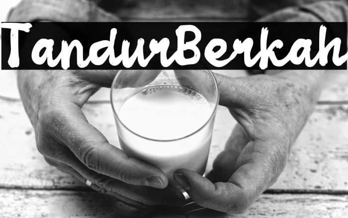 Tandur Berkah Example 3