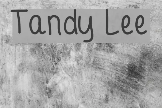 Tandy Lee Example 1