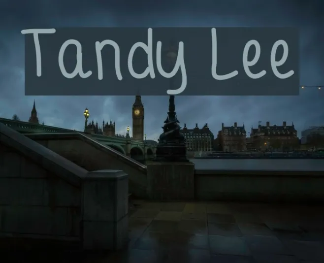 Tandy Lee Example 2