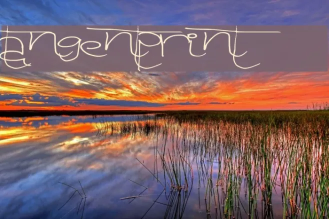 TangentPrint Example 1