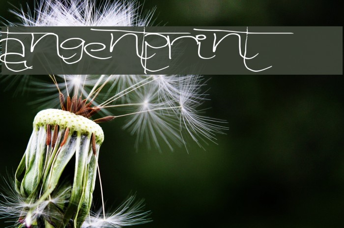 TangentPrint Font examples