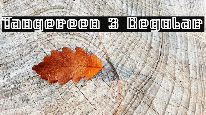 Tangereen 3 Regular Font examples