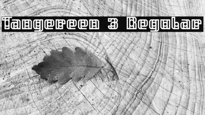 Tangereen 3 Regular Font examples