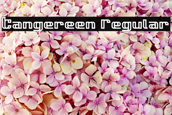 Tangereen Regular Font examples