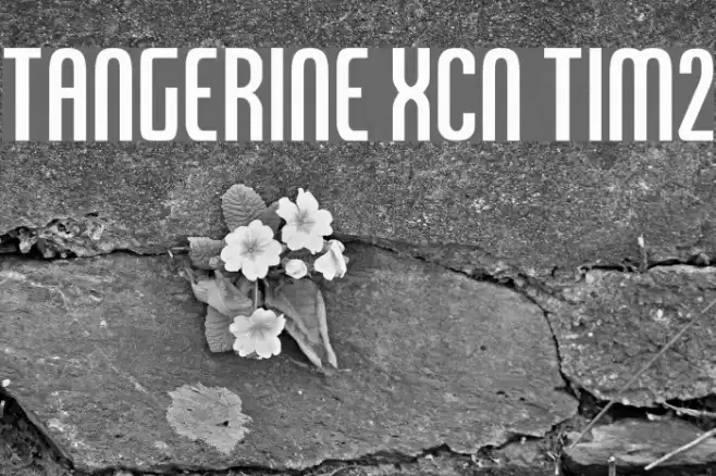Tangerine XCn Tim2 Font examples