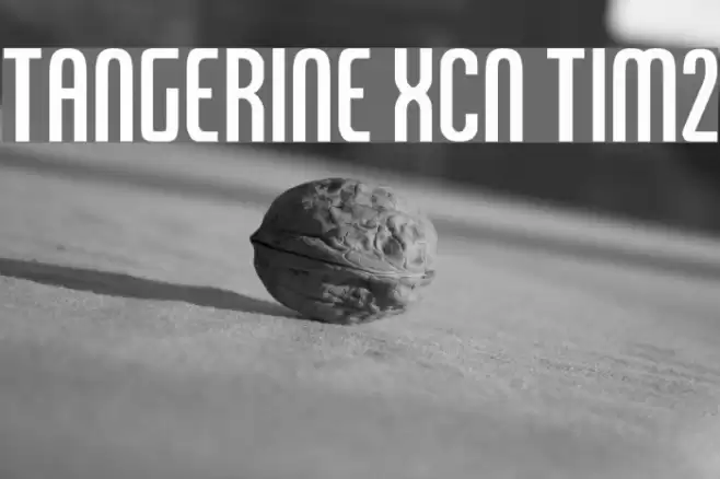 Tangerine XCn Tim2 Font examples